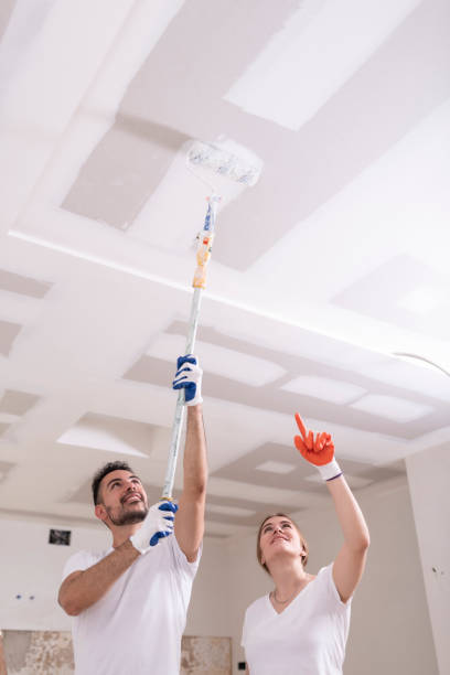 Best Ceiling Drywall Installation  in Mansfield, MO